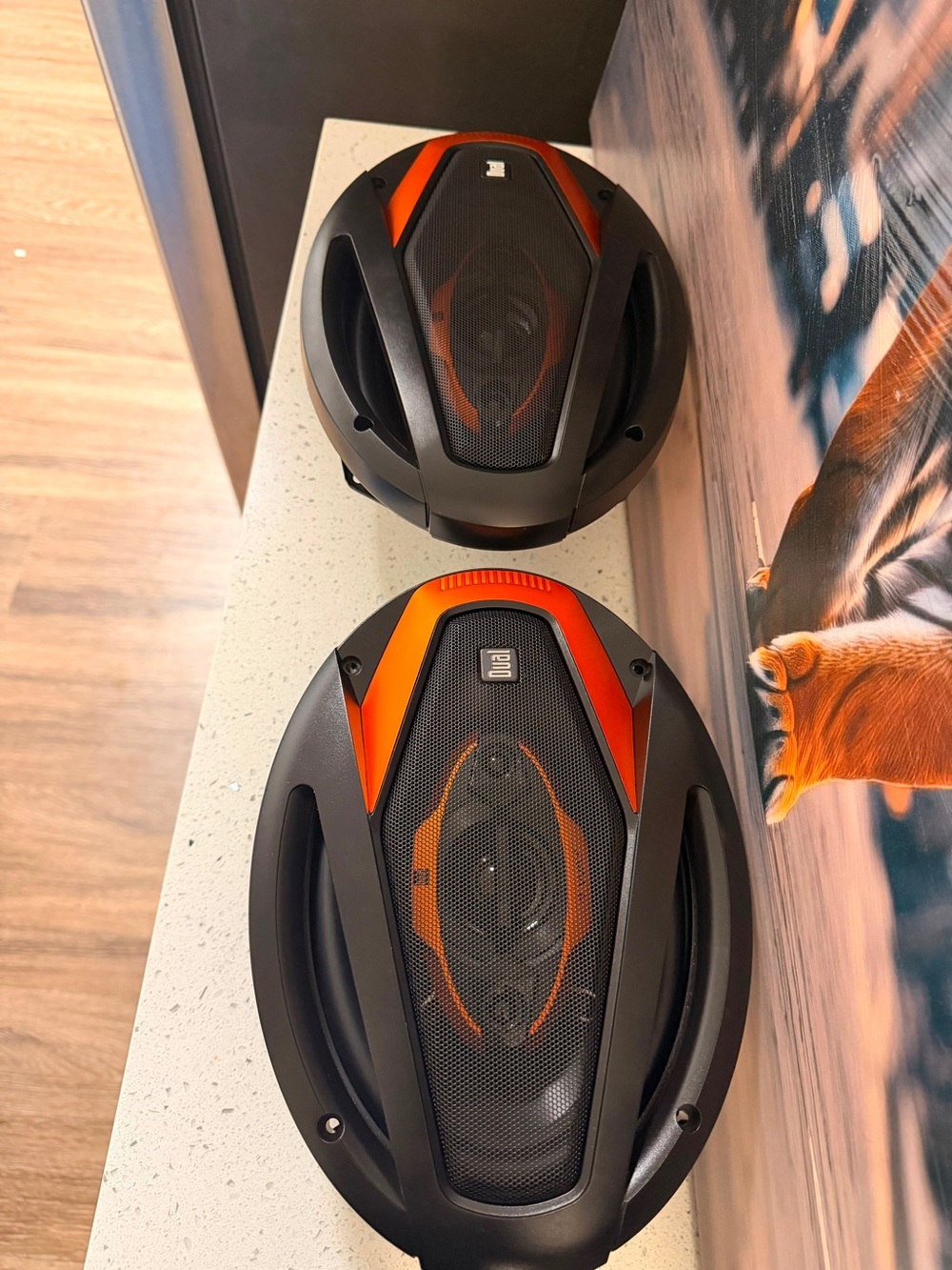 JBL Black and Orange Oval Portable Speaker Pair